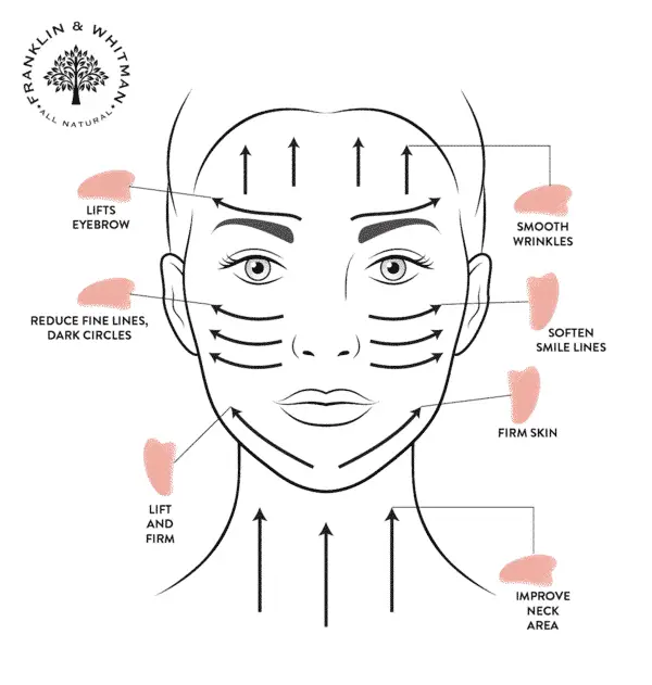 gua sha facial tool