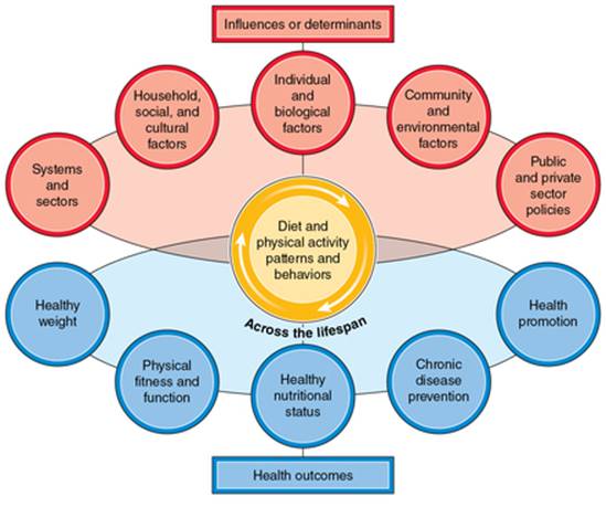 wellness recovery action plan