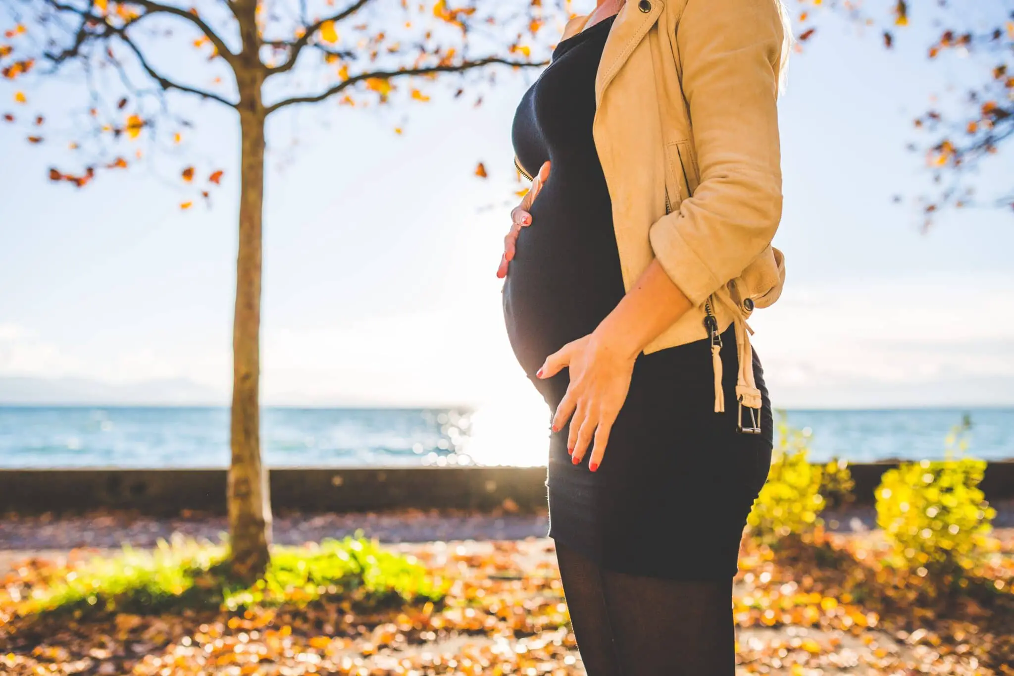 40 Weeks Pregnancy Calendar Week-By-Week (Most Precise)