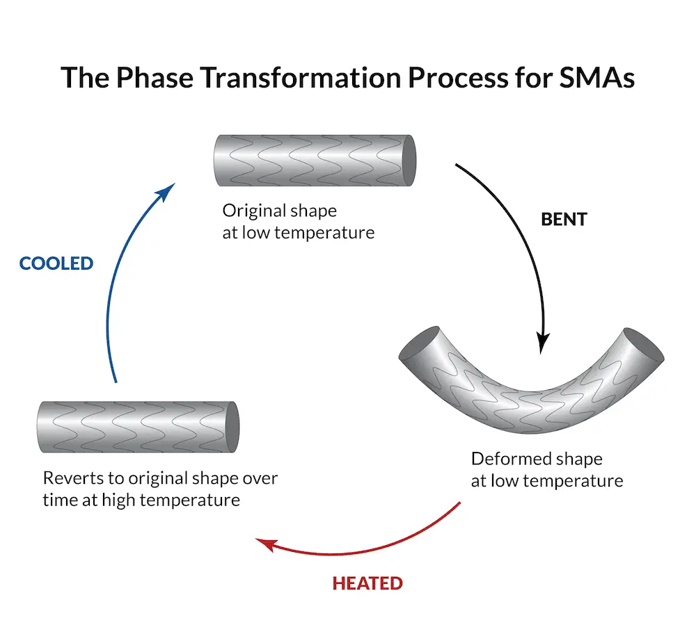 The Elephants of Materials Science: SMAs Never Forget Their Shape | COMSOL Blog