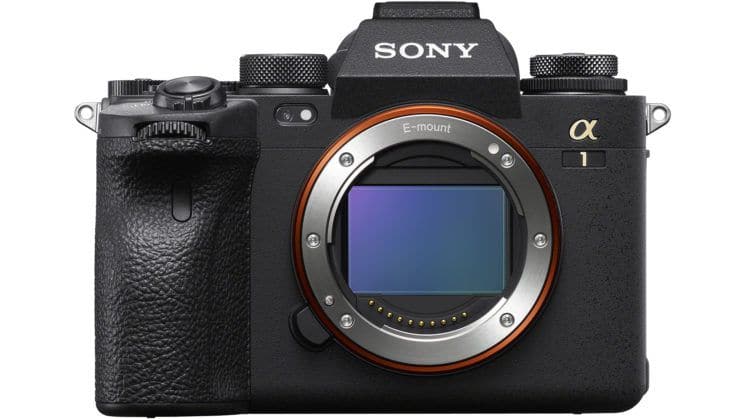 Sony A1 – A Truly Wonderful Camera For You