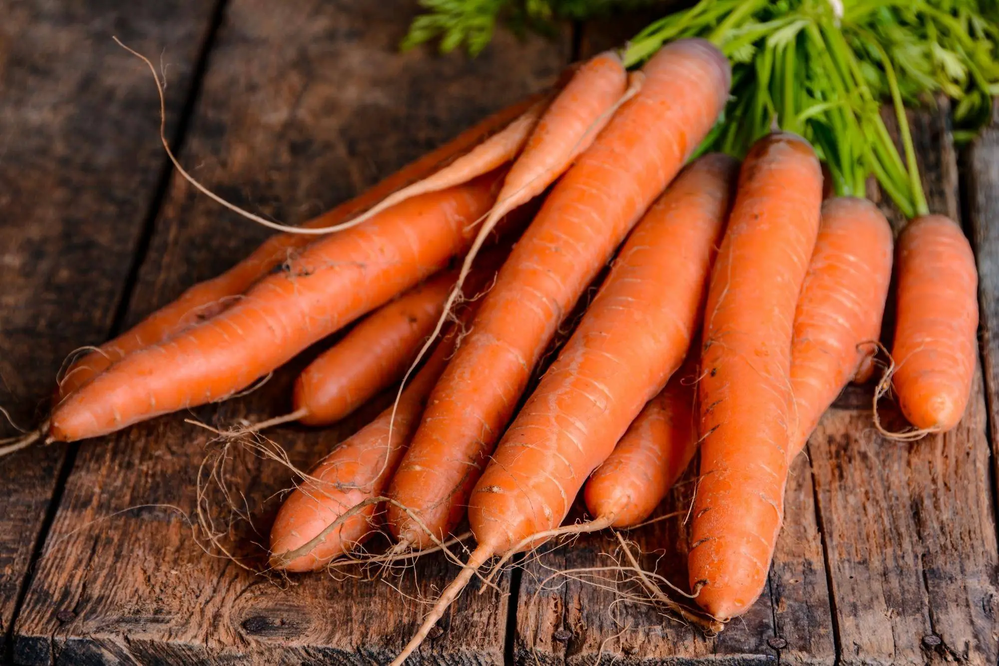 When to Harvest Carrots: A Detailed Guide