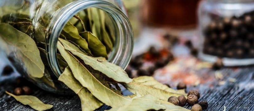 how to dry bay leaves