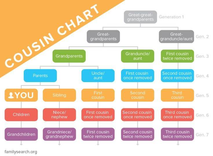 how family trees work