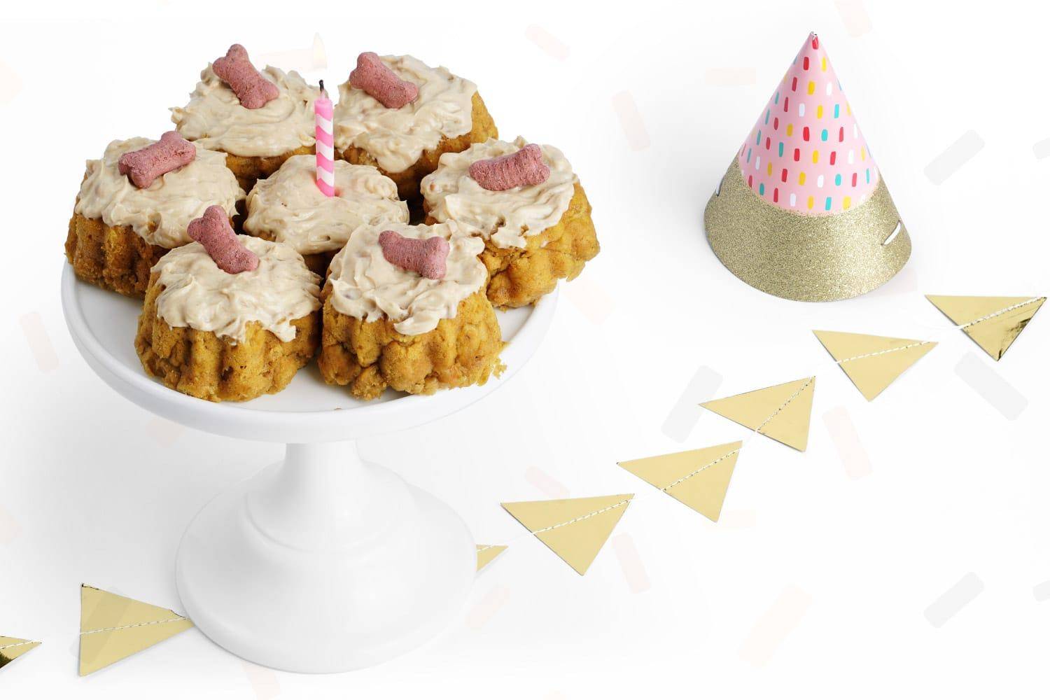 Dog birthday cake recipes