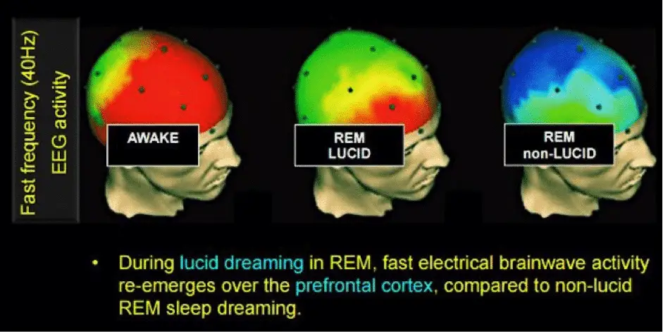 how to lucid dream