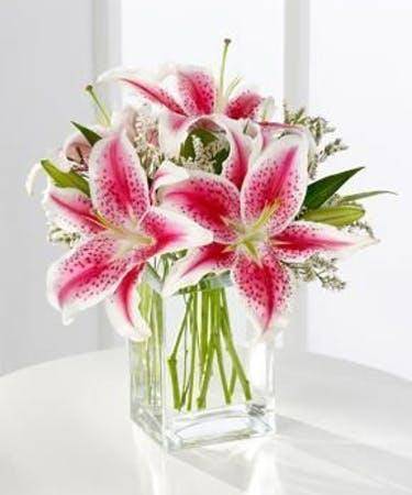 stargazer lily