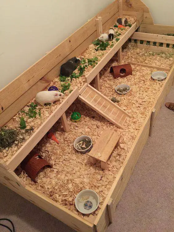 DIY guinea pig cages