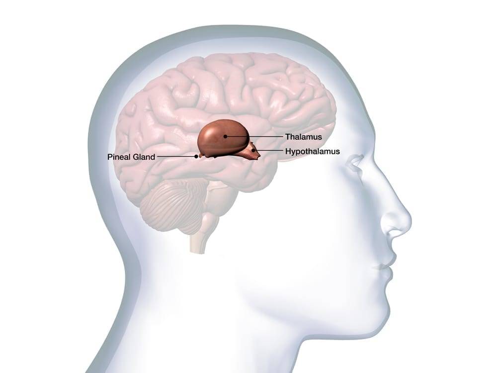 can you overdose on melatonin