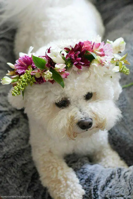 how to make a flower crown