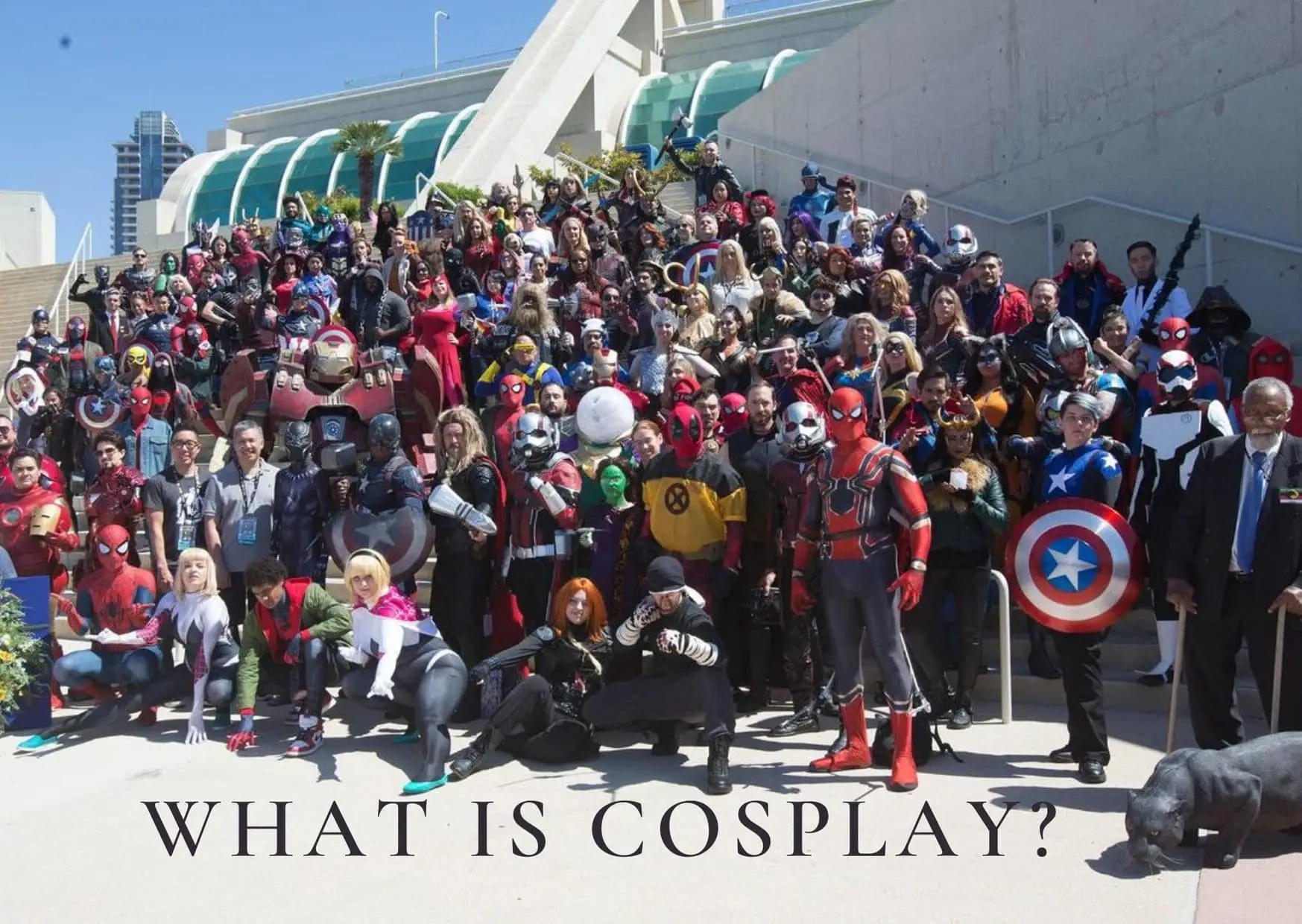 What Is Cosplay? Top 5 Queries Answered