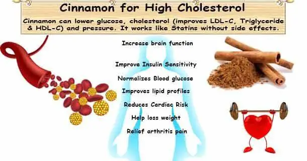 Herb Cinnamon Lower Cholesterol | Cholesterol, Lower cholesterol, Lipid profile