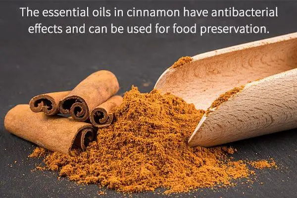 Cinnamon Benefits and Precautions - eMediHealth