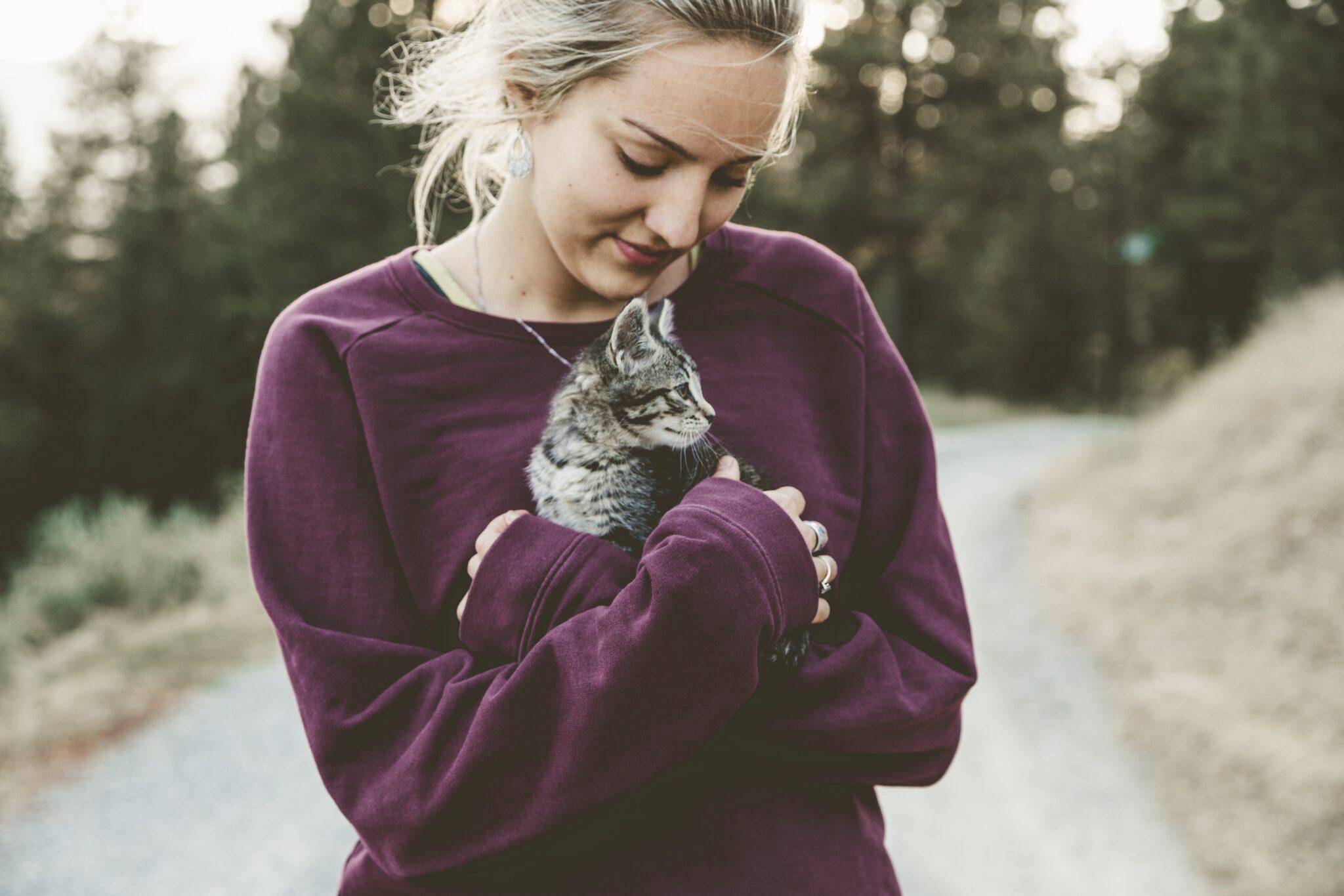 Cat Dandruff