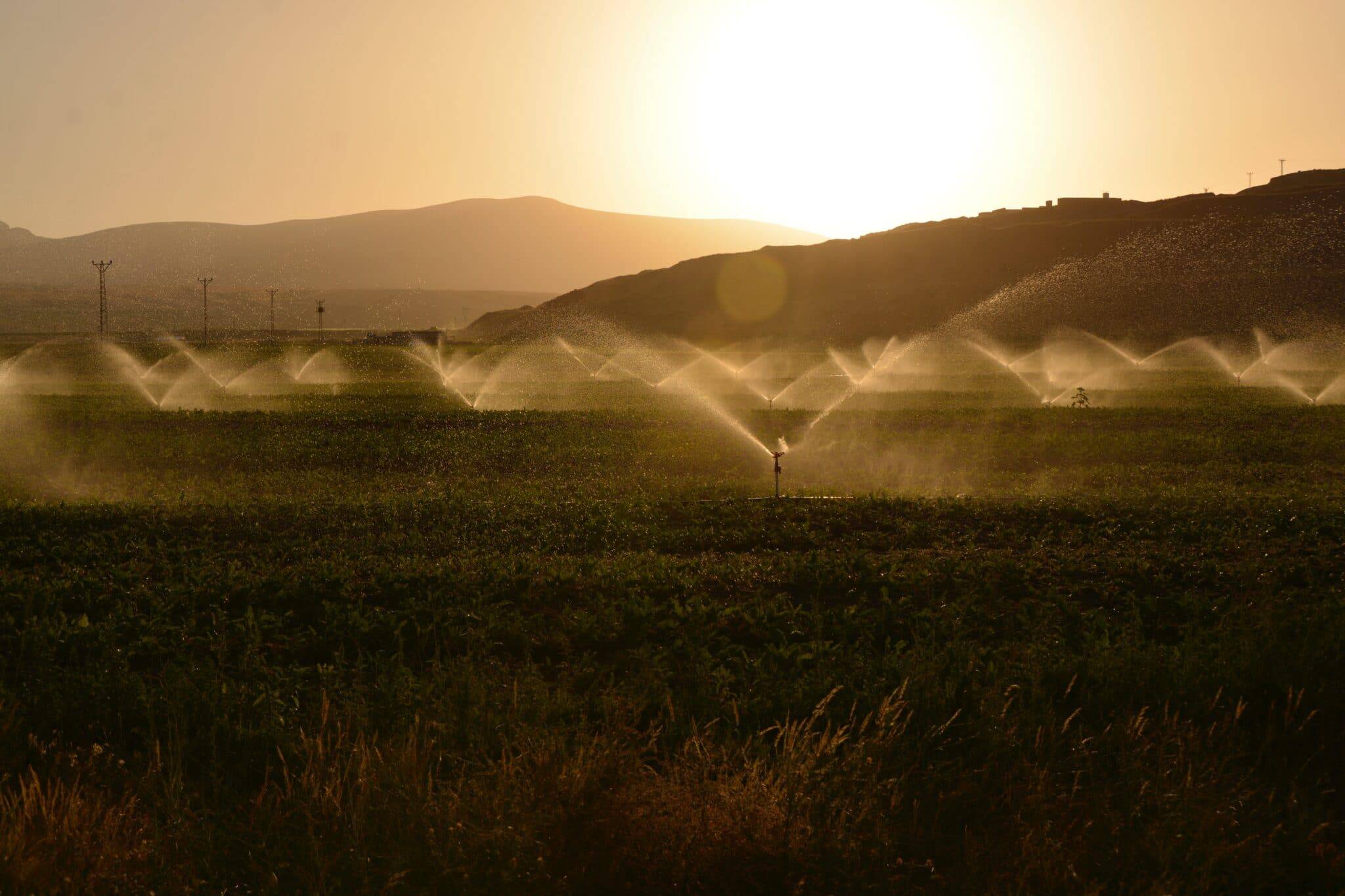 Garden Watering Systems