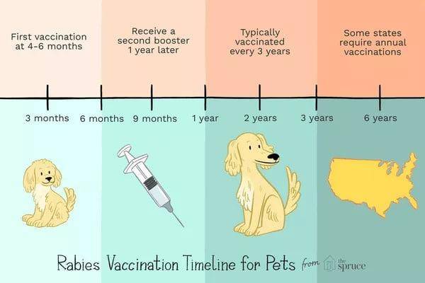 puppy shot schedule