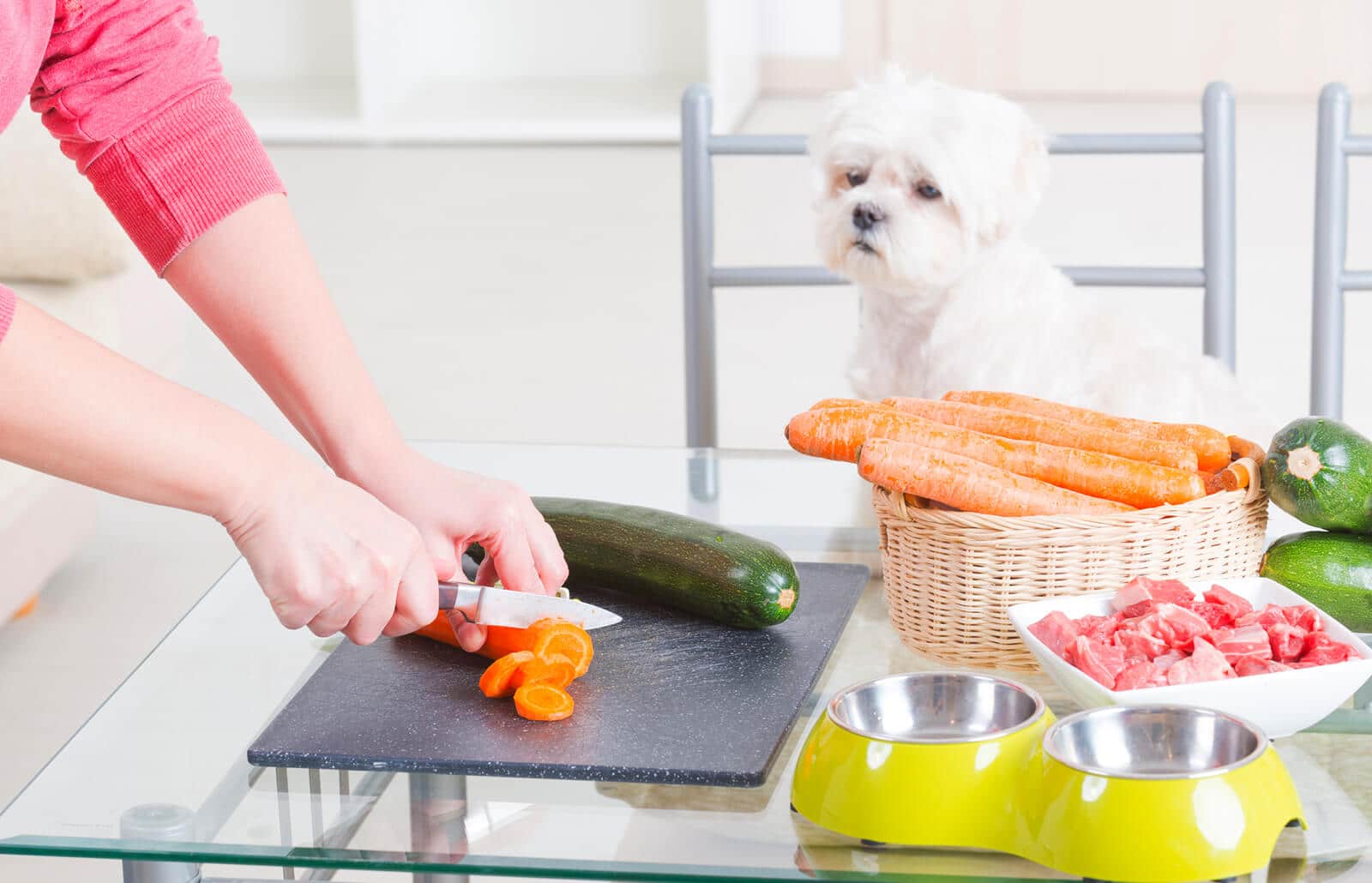 how many times should I feed my puppy