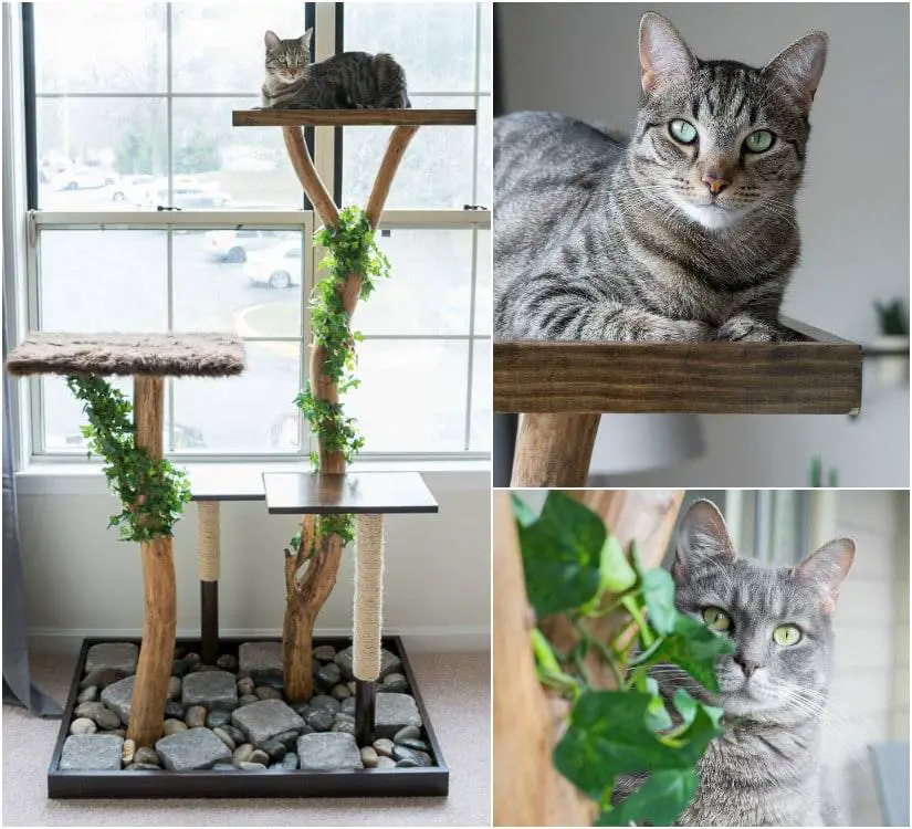 DIY Cat Tree – 5 Unique Styles For Your Lazy Pet