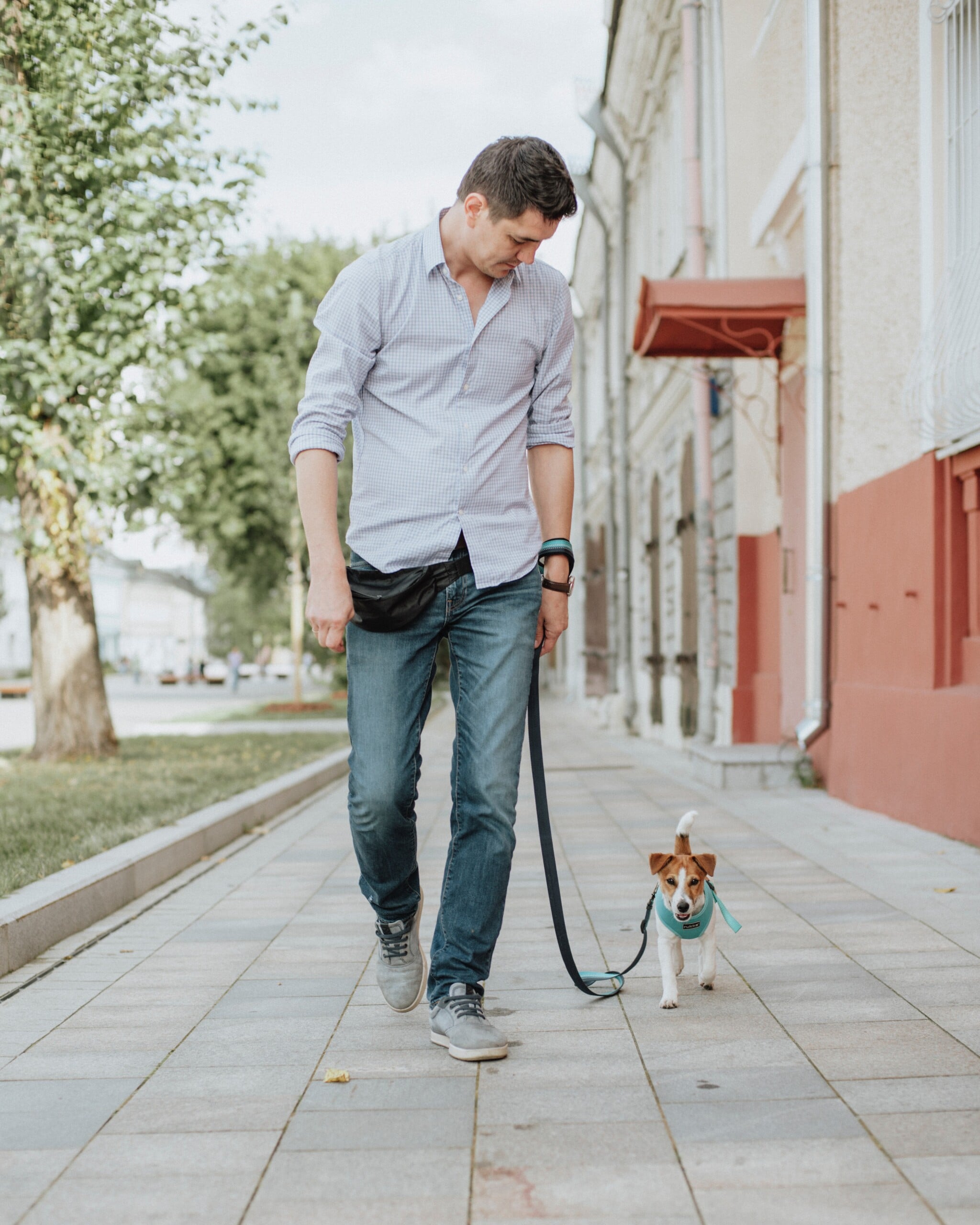 How Often Do You Walk Your Dog? | 3 Important things To Consider