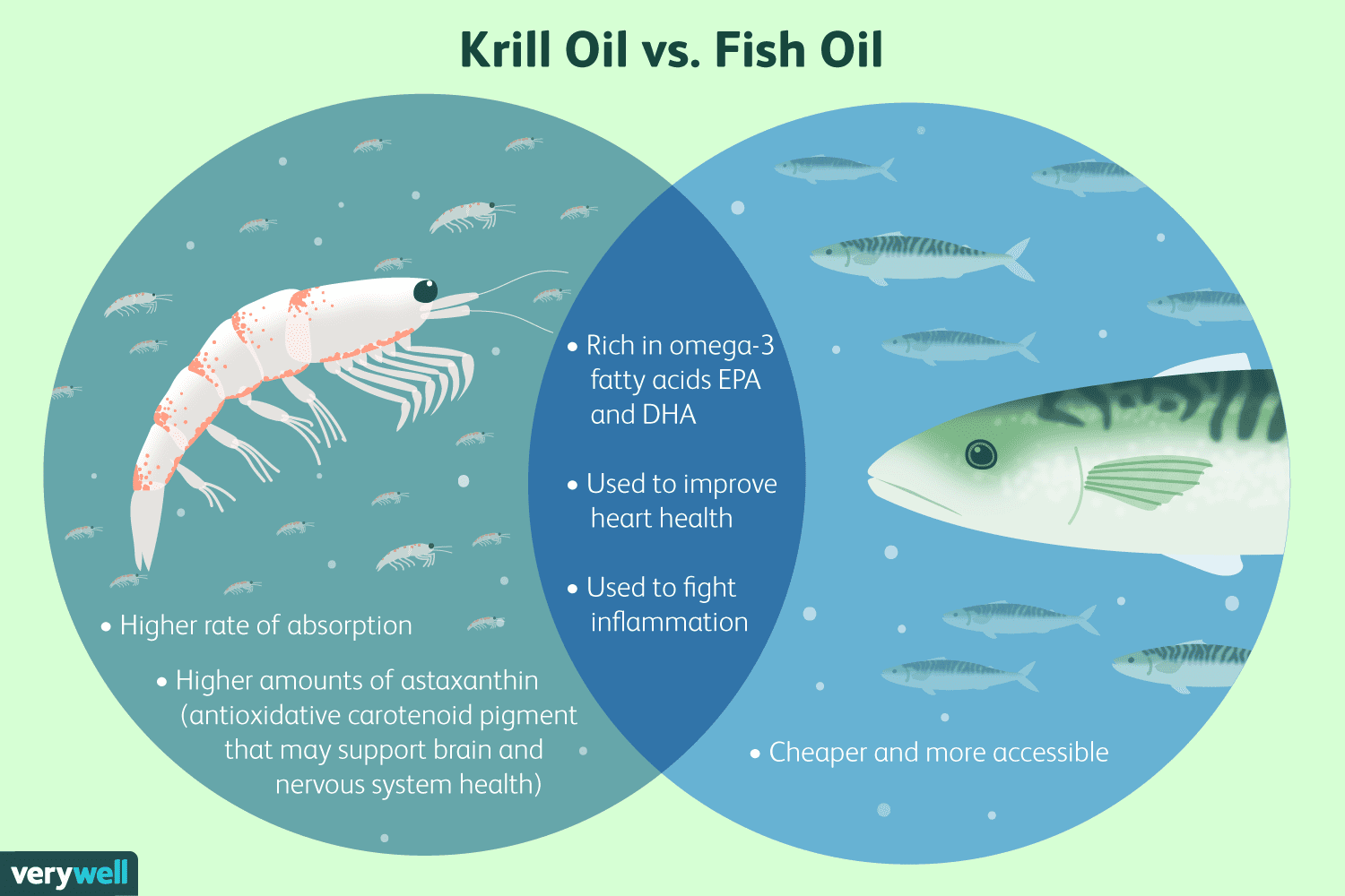 Krill Oil vs Fish Oil