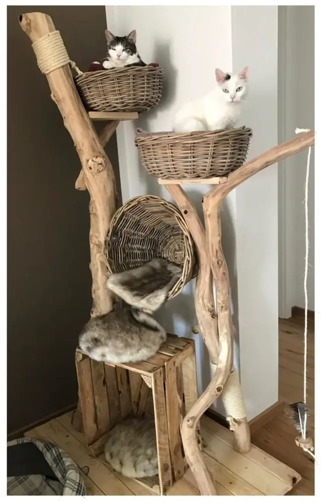 diy cat tree