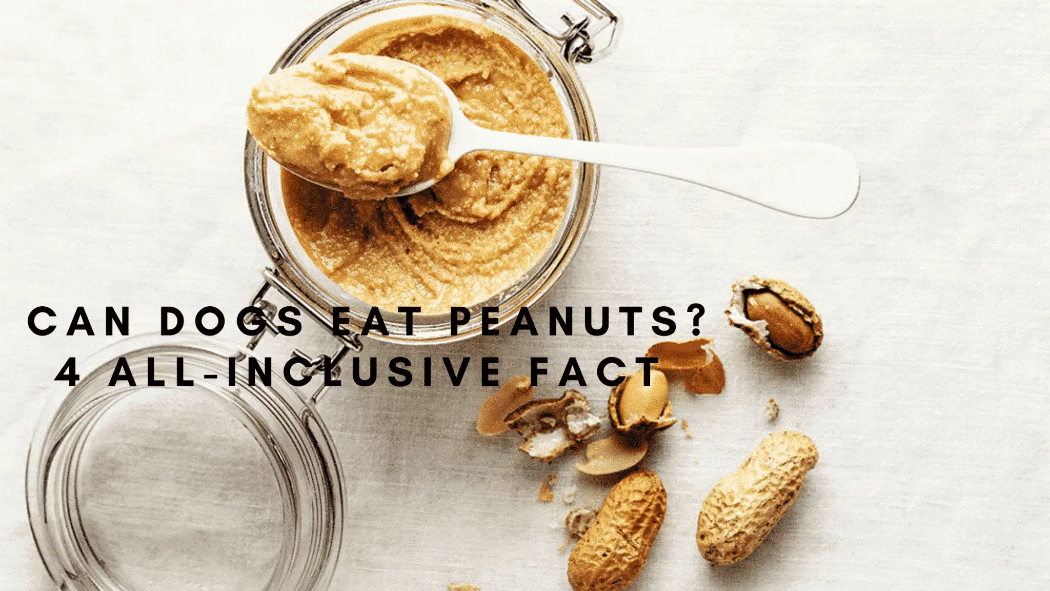 can-dogs-eat-peanuts-4-all-inclusive-fact-2