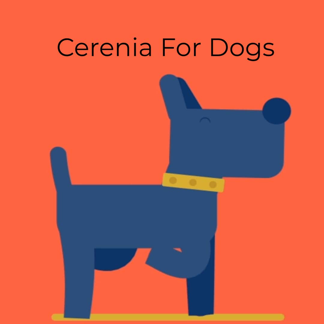 cerenia-for-dogs-1