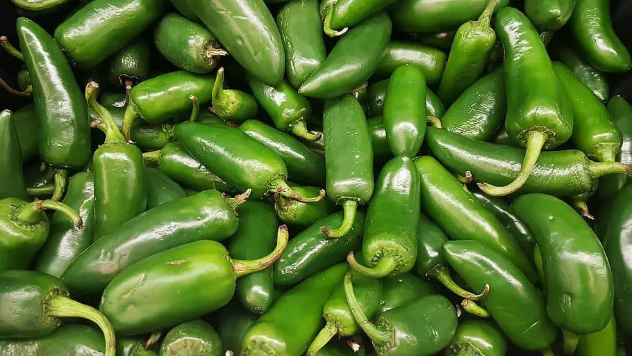 jalapenos-chili-peppers-hot