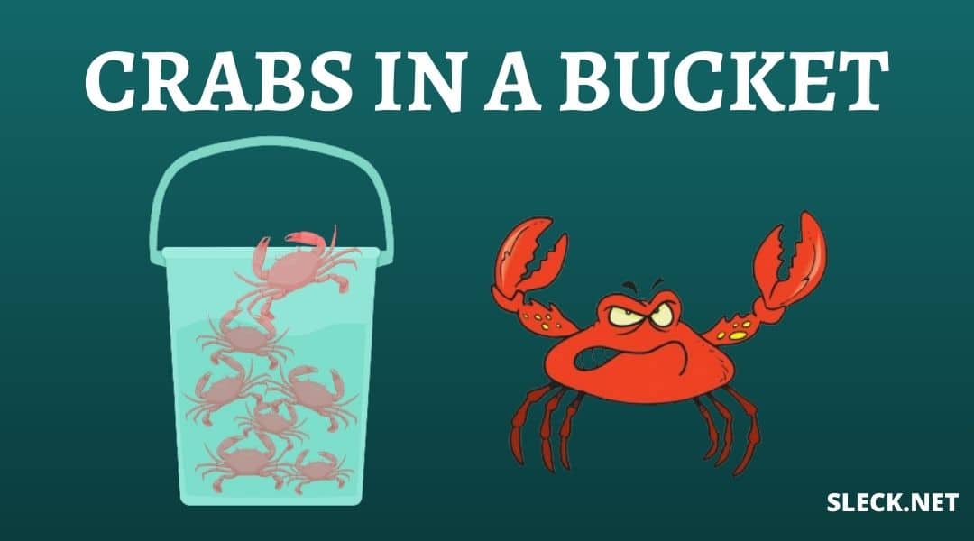 crabs-in-a-bucket