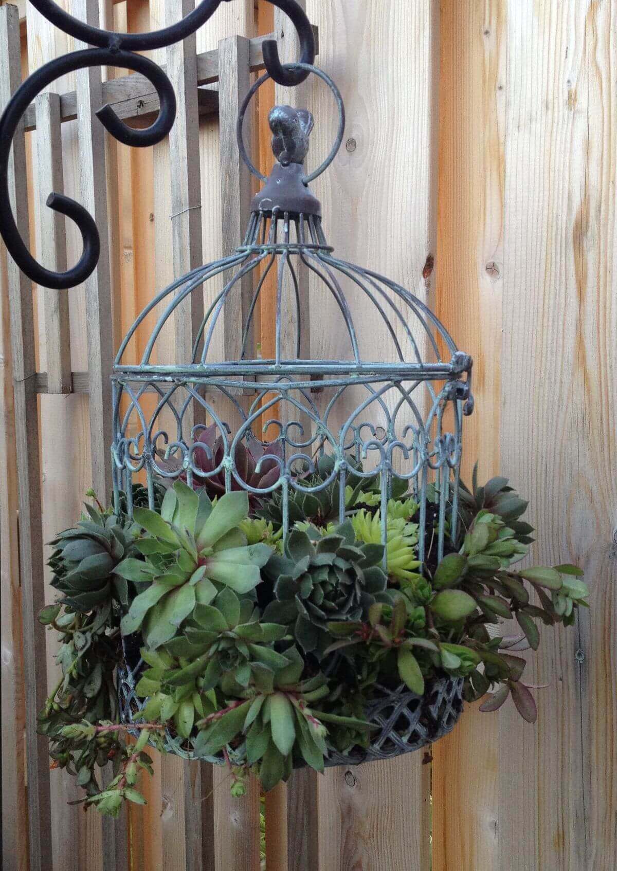 hanging planters