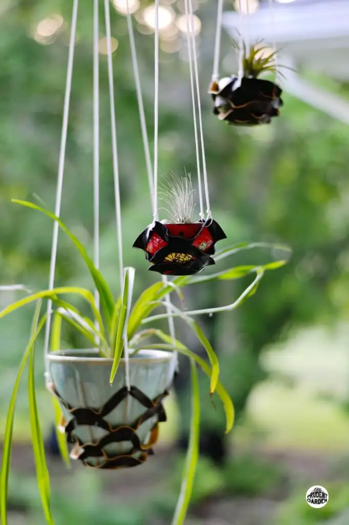 hanging planters