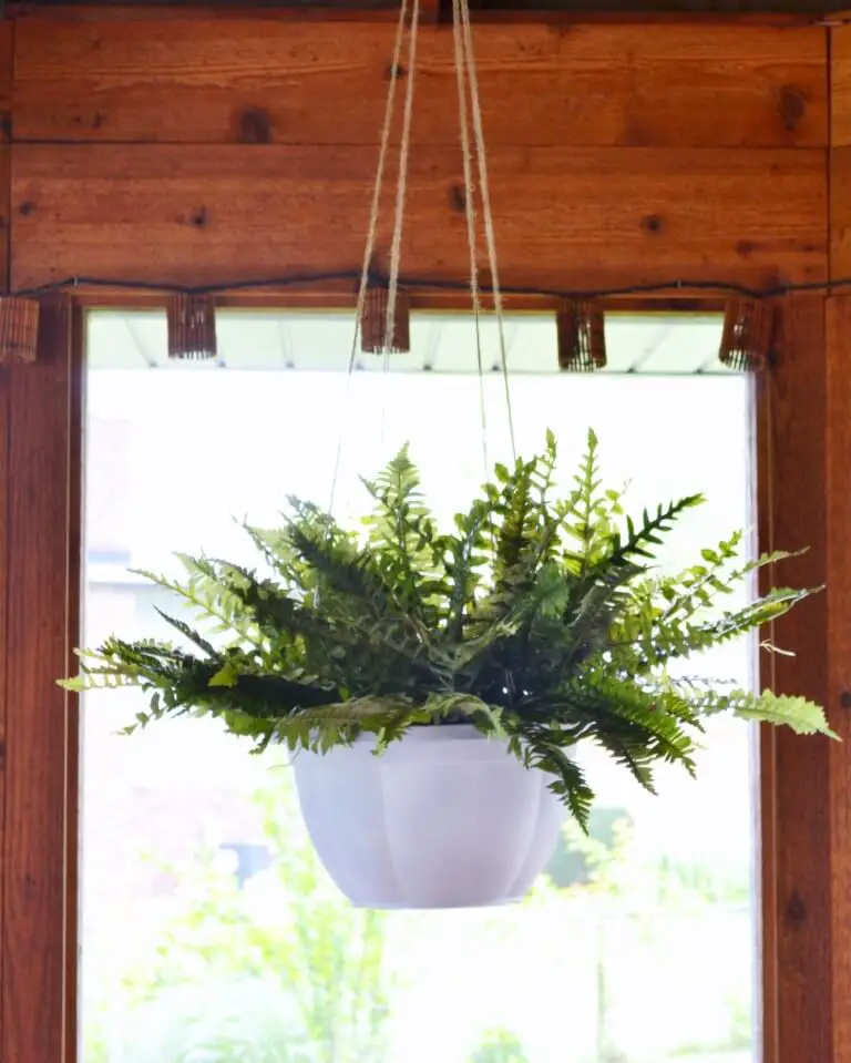 hanging planters