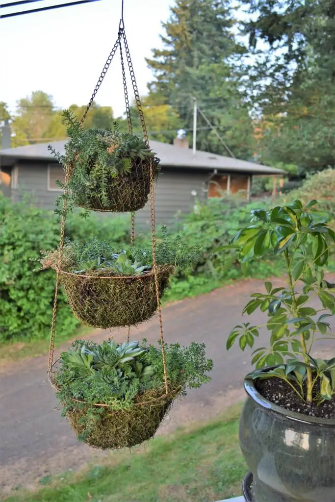 hanging planters