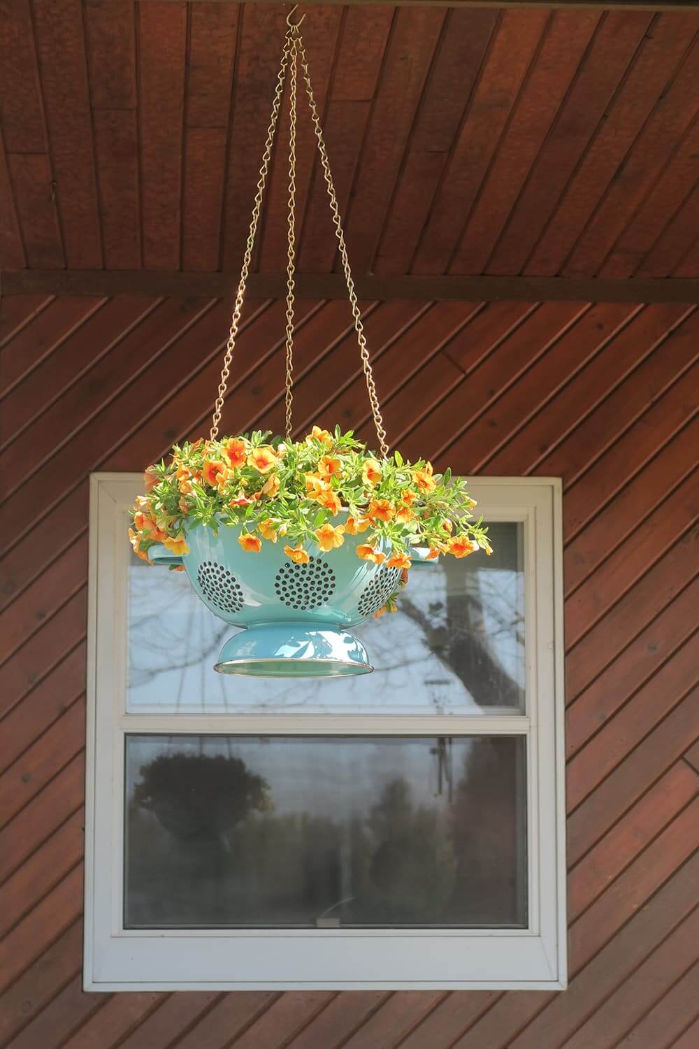 hanging planters