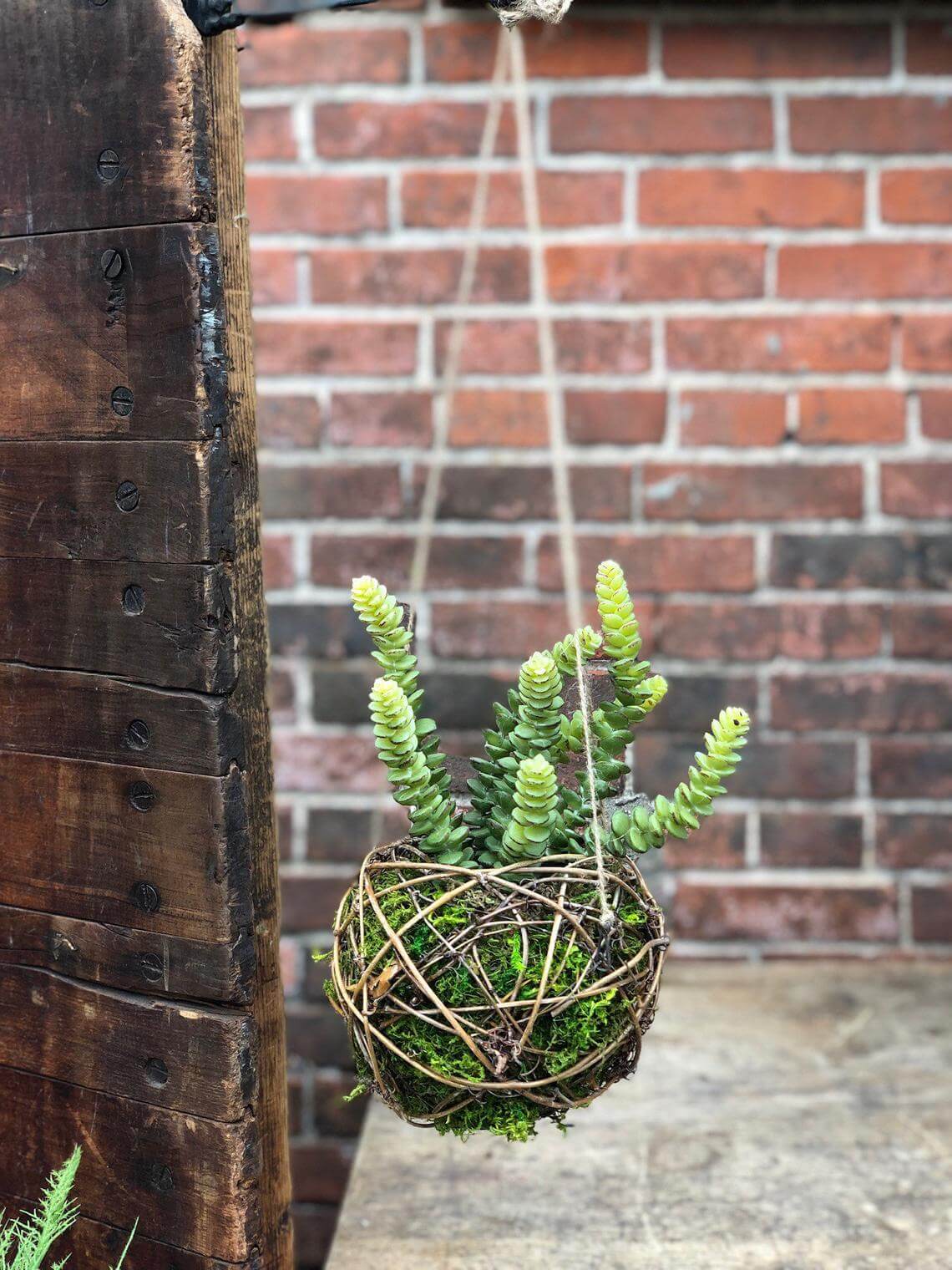 hanging planters