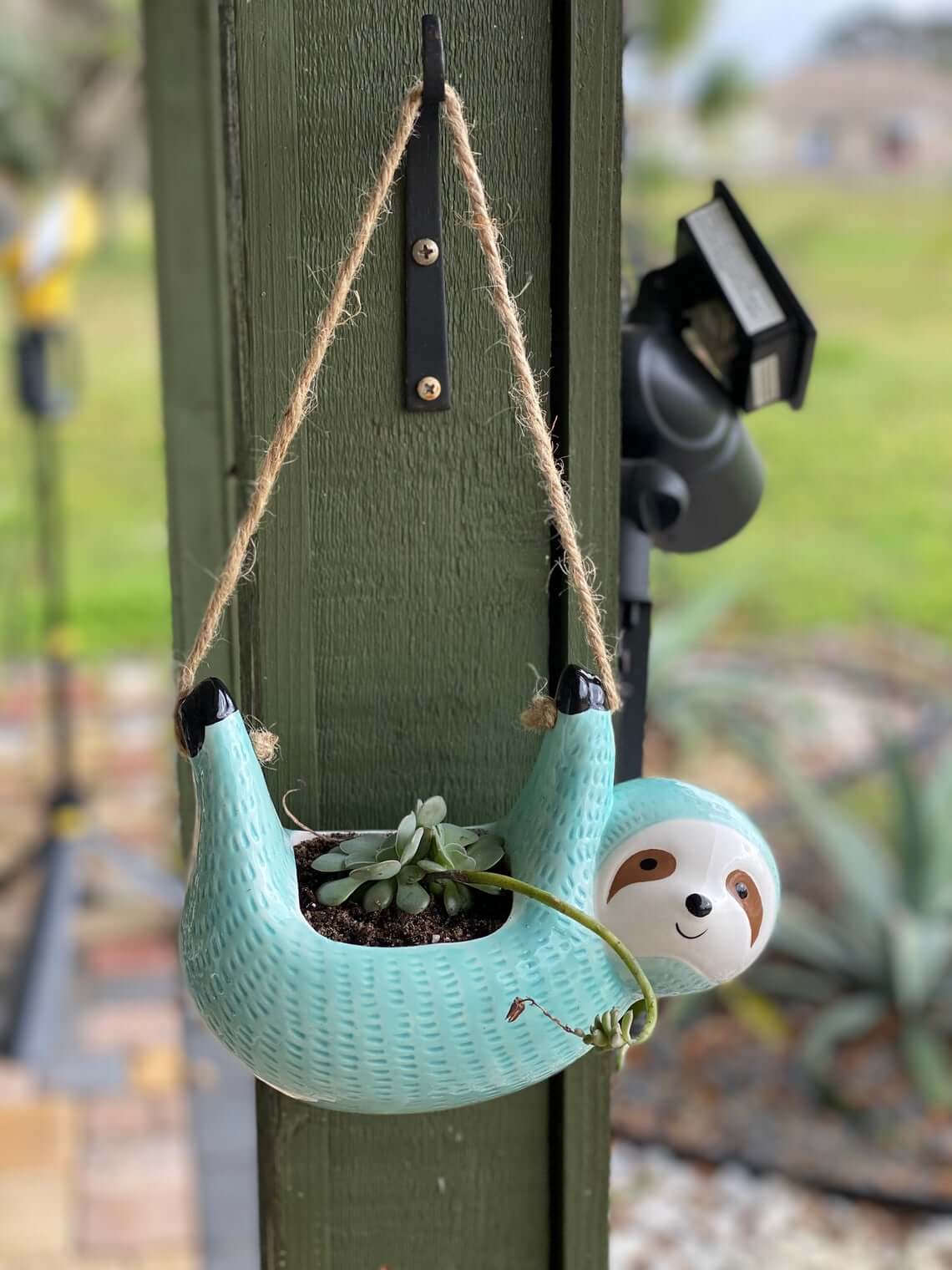 hanging planters