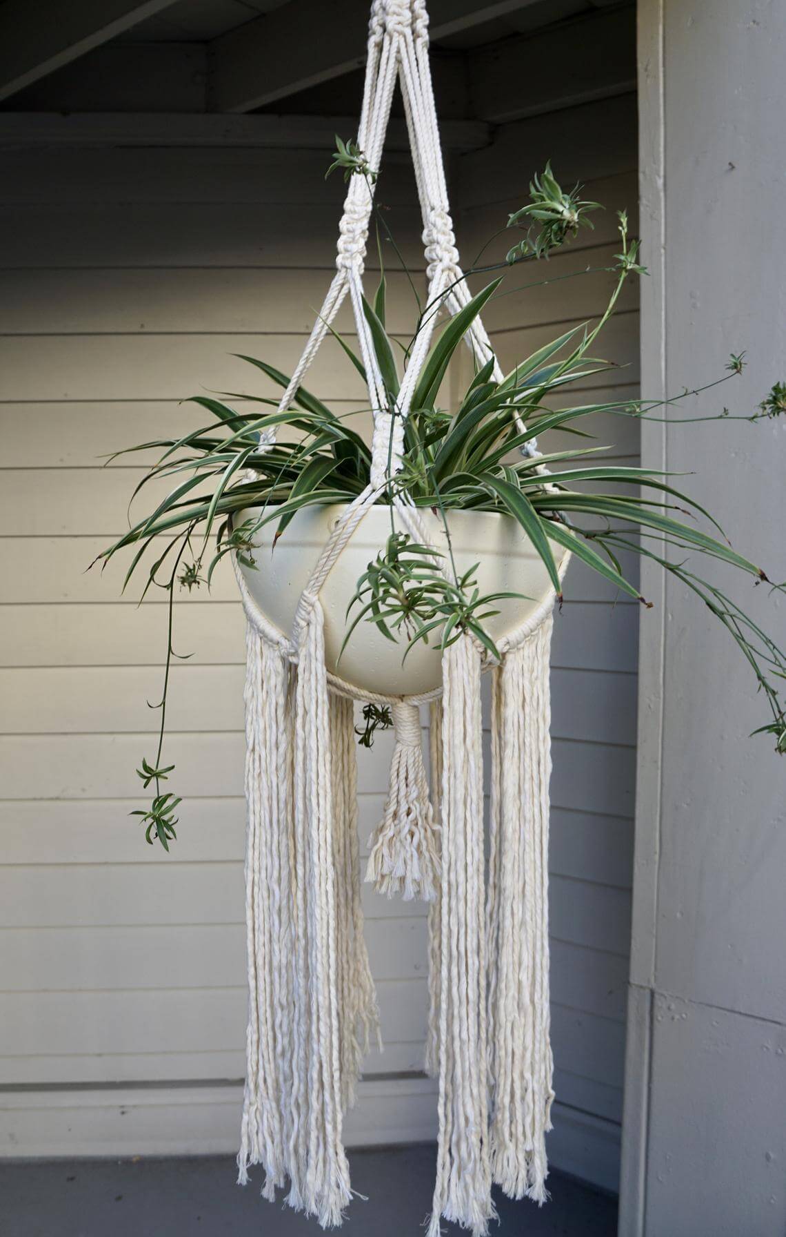 hanging planters