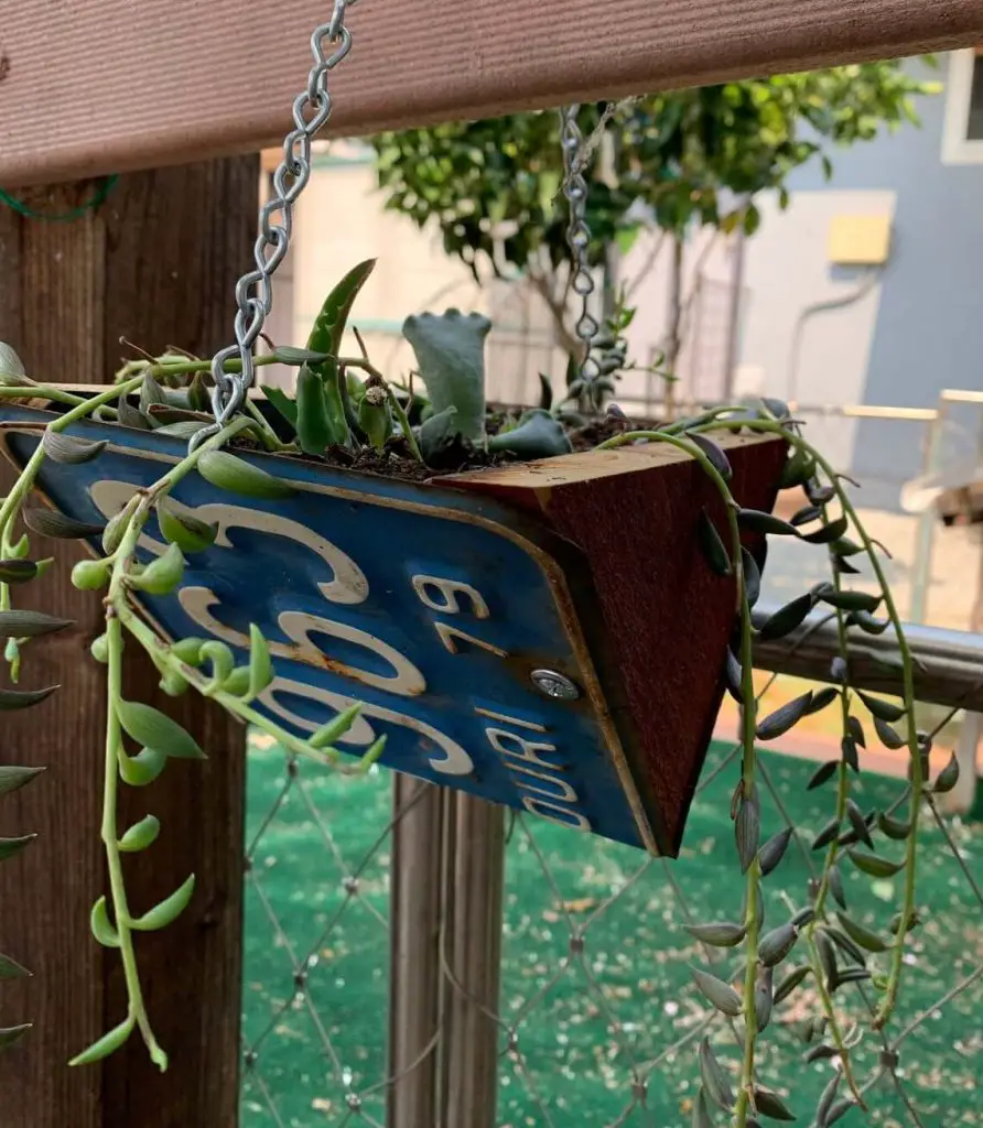 hanging planters