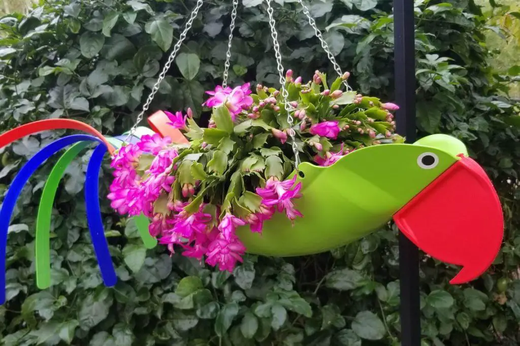 hanging planters