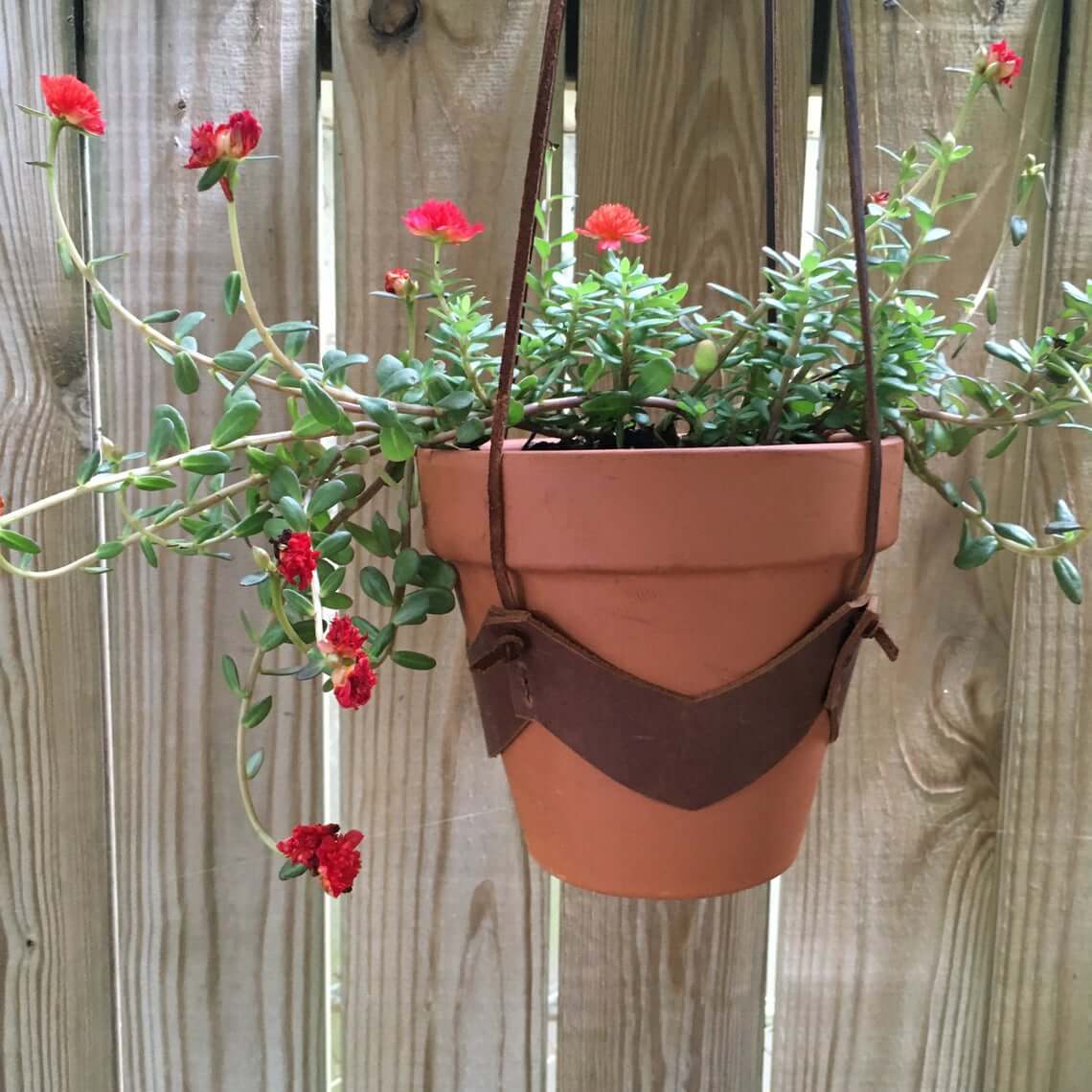 hanging planters