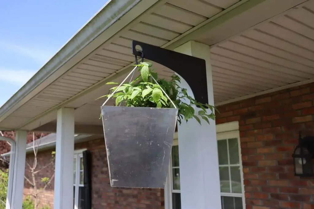 hanging planters