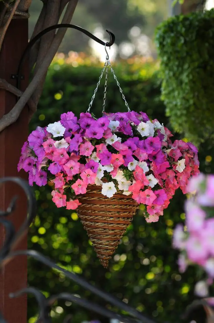 hanging planters