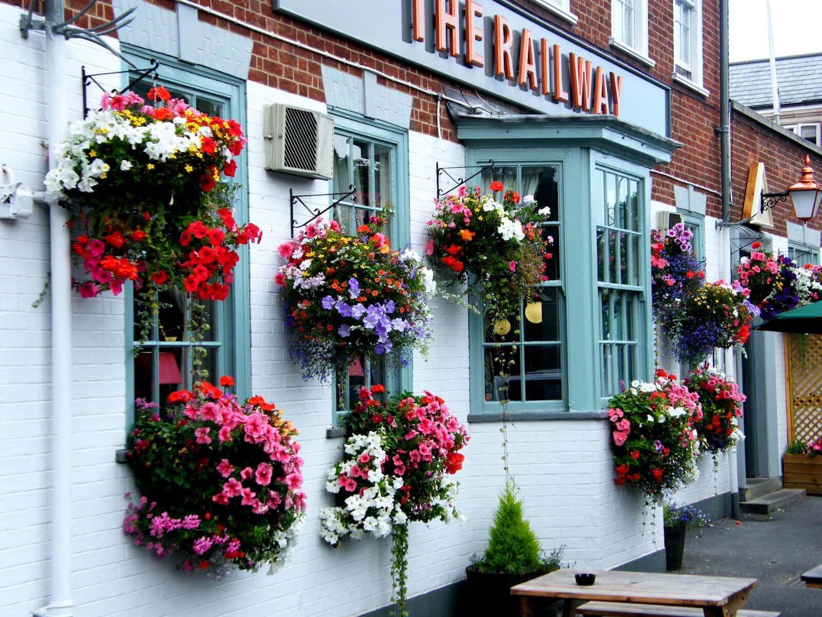 hanging planters