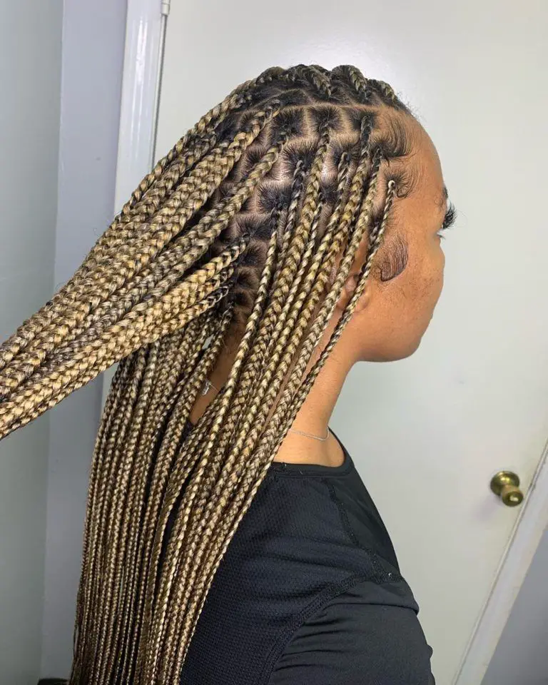 Medium box Braids