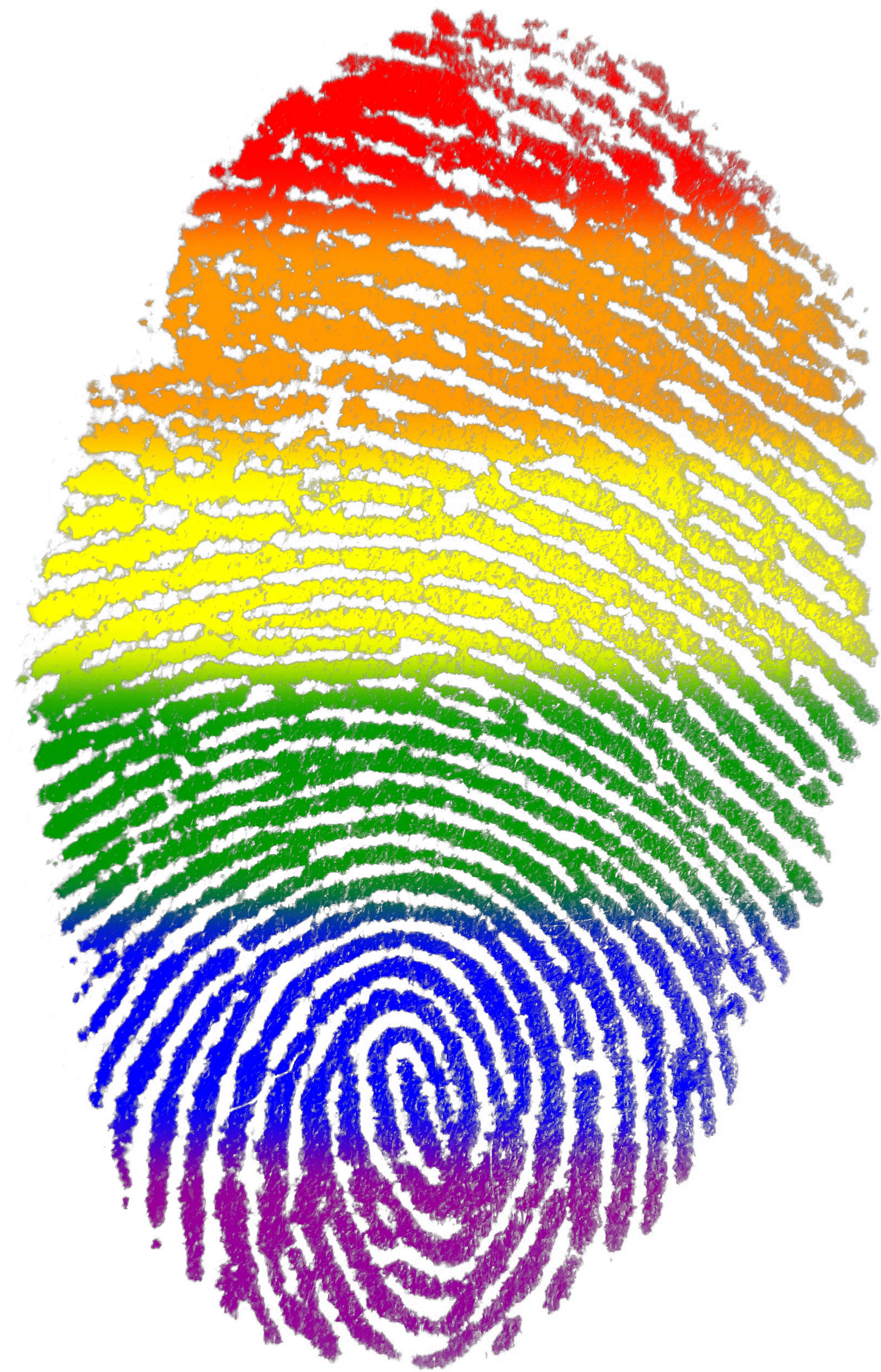 fingerprint, gay, flag