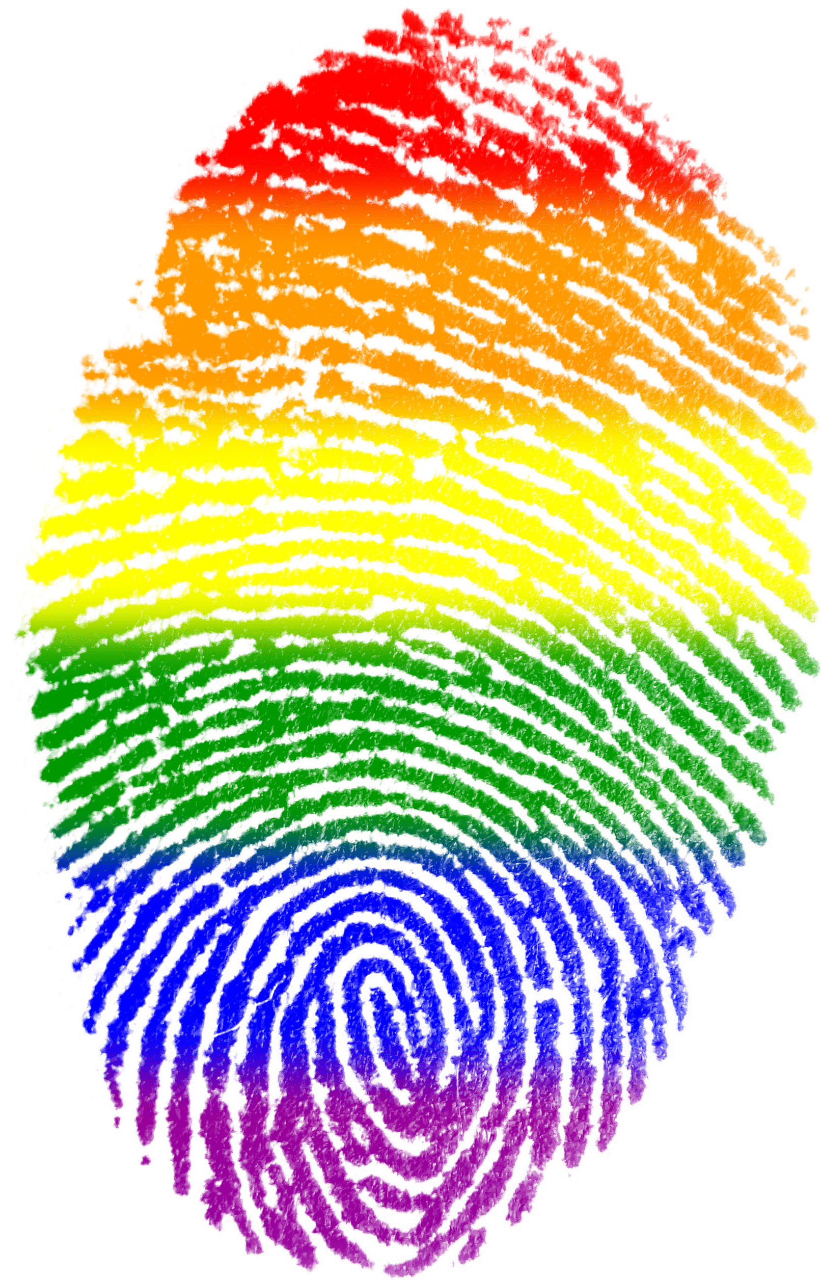 fingerprint, gay, flag