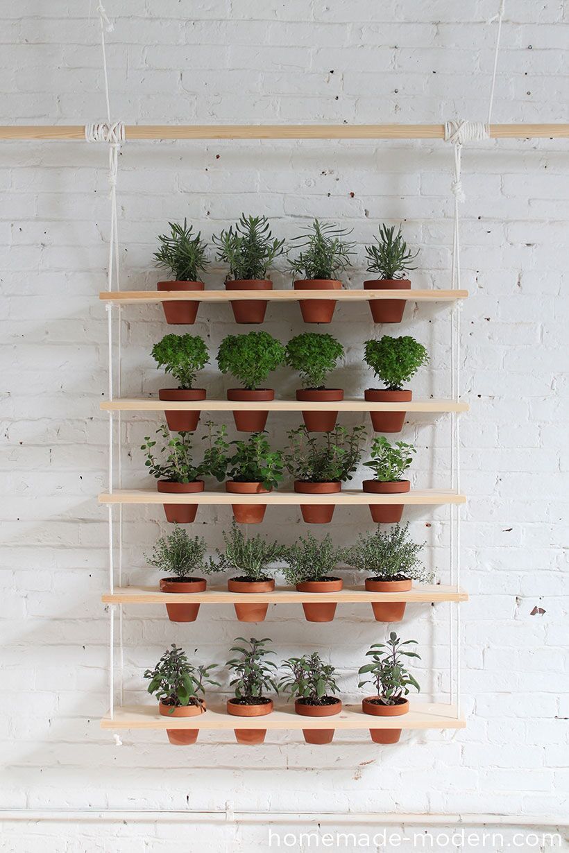 hanging planters