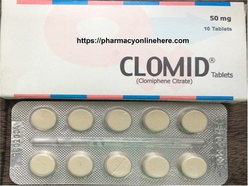 clomid for men