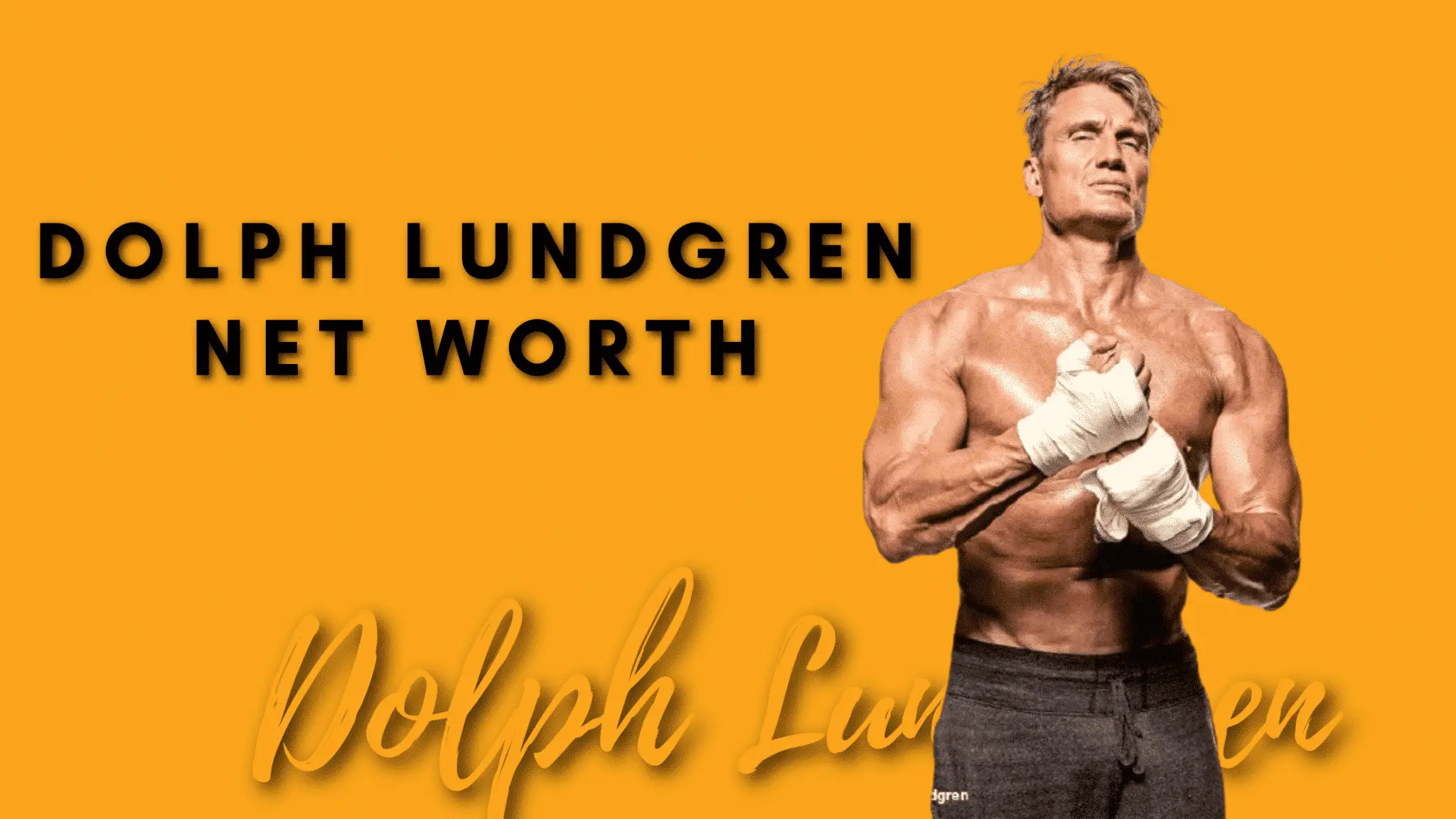 Dolph Lundgren Net worth – All-inclusive facts
