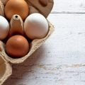 food, chicken eggs, egg tray